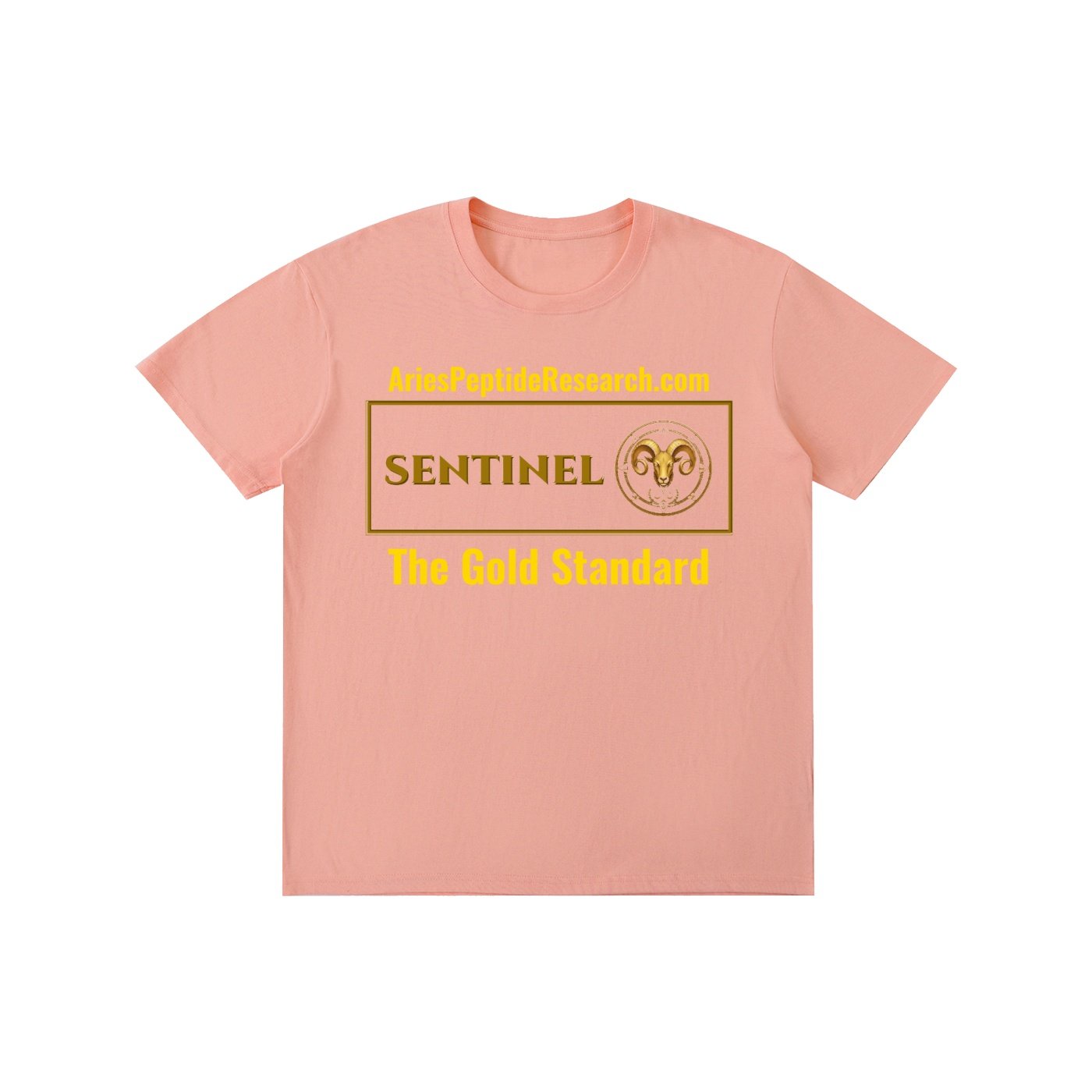 Pure Cotton Unisex T-Shirt - Image 13